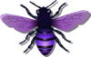 Bee Purple Image